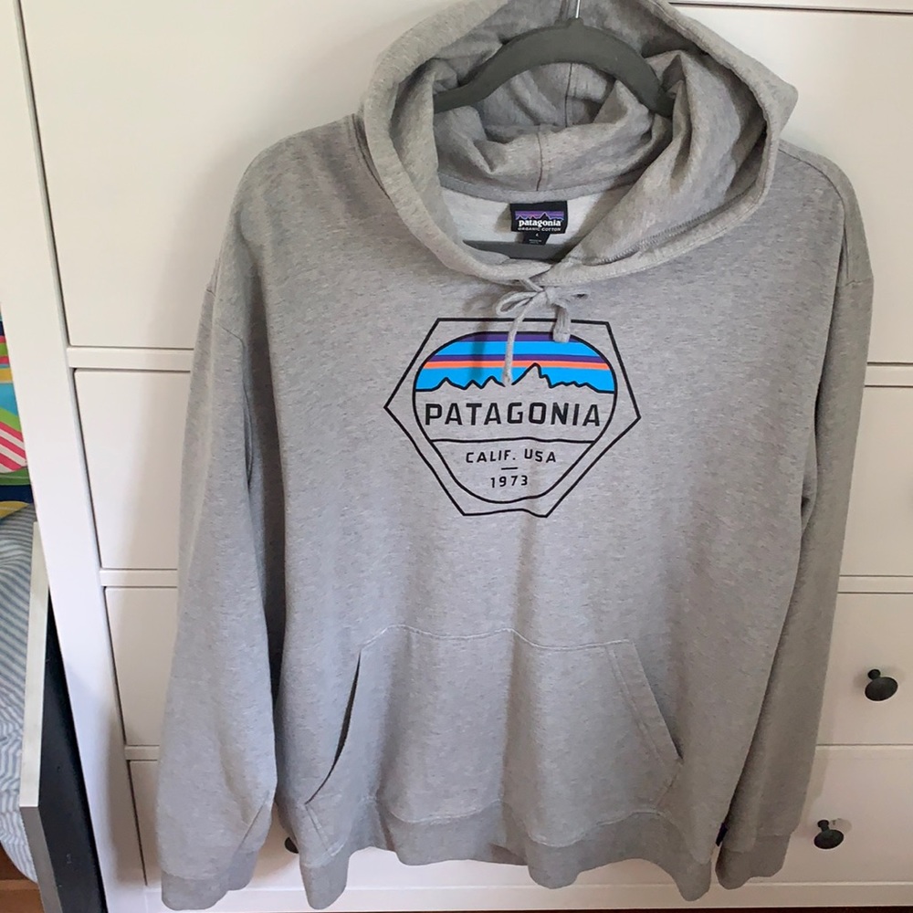 Patagonia grey hoodie